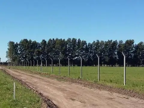 Terreno en Venta de 400,0 m2