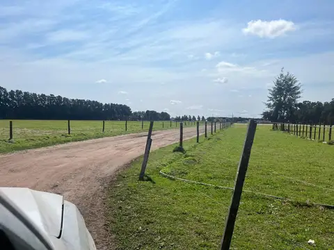 Terreno en venta - 600mts2 - Baradero