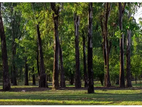 Terreno en Venta de 380,0 m2