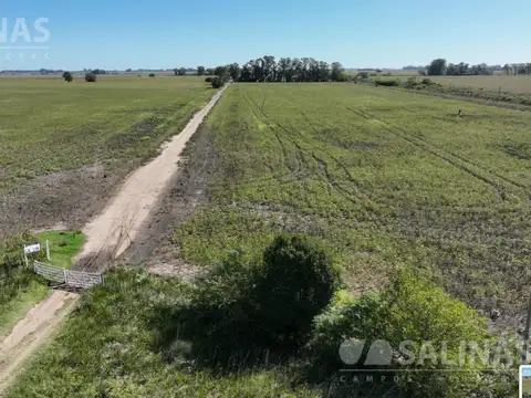 Campo en Venta de 78  ha