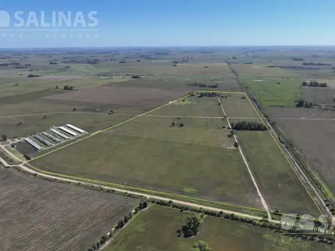 Campo Agrícola en Villa Ruiz
