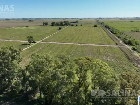 78 Has. Campo Agrícola sin mejoras en Villa Ruiz