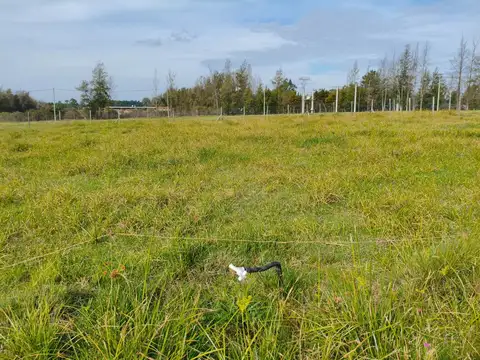 Terreno en Venta de 1500,0 m2