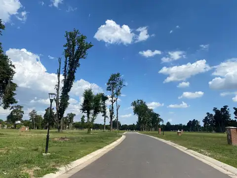 Terreno en Venta 21  mts Fondo