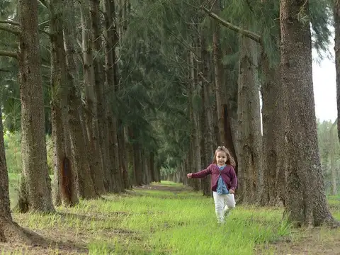 Terreno en Venta de 619,0 m2