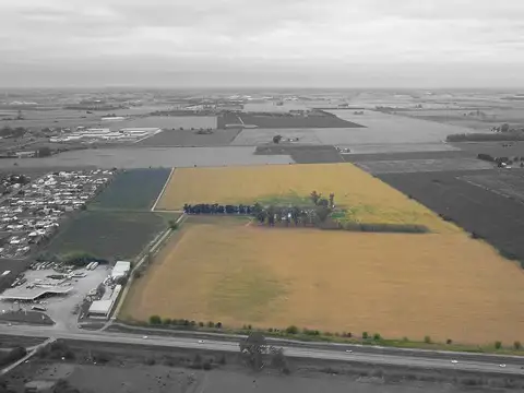 Ruta 18 Km 7,5, S2126 Alvear, Santa Fe 100