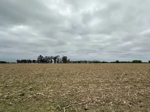 Ruta 18 Km 7,5, S2126 Alvear, Santa Fe 100