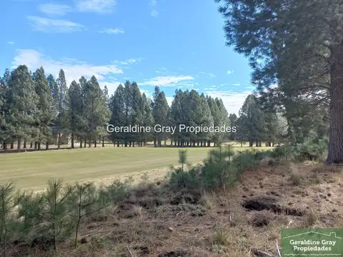 Terreno / Lote en venta de 1500m2 ubicado en Chapelco Golf & Resort