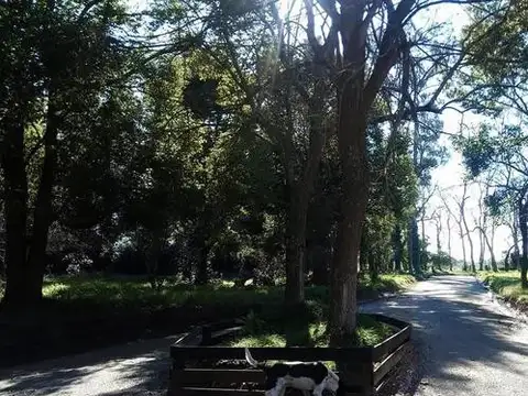 Terreno en Venta en Florencio Varela, USD 23.000