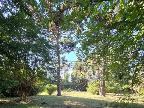 LOTE EN VENTA - EL REMANSO- EXALTACION DE LA CRUZ