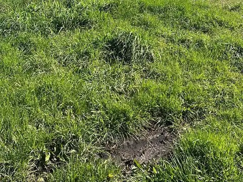 Calle 513 entre 14 y 16