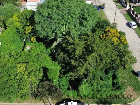 Concepción Arenal, Torres.