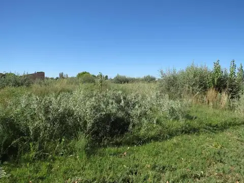 REMAX VENDE TERRENO EN RUFINA