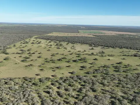 Campo Mixto s/ Ruta en Alpachiri, La Pampa