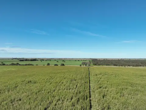 Campo en Venta de 3.780  ha