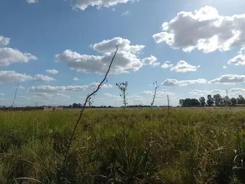 Terreno en Venta de 4598,0 m2