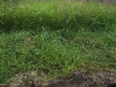 Terreno en Venta de 1000,0 m2