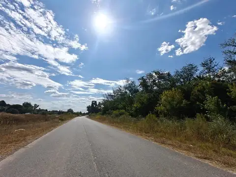 Exaltacion De La Cruz