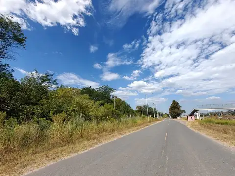 Exaltacion De La Cruz