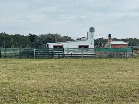 Terreno en Venta de 452,0 m2