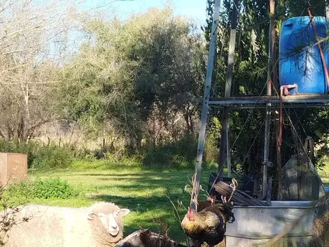 Soldado Alberto Genaro Pavòn
