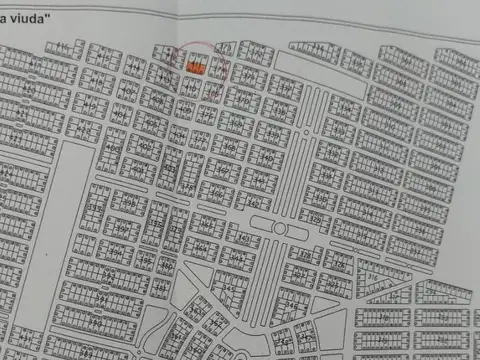 Bosque de la Viuda Punta del Diablo Uruguay