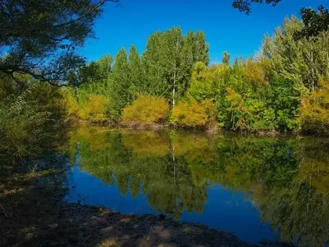 LOTES COMERCIALES  | BARRIO BOTÁNICO "LA RESERVA"