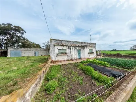 Campo en Venta de 3  ha