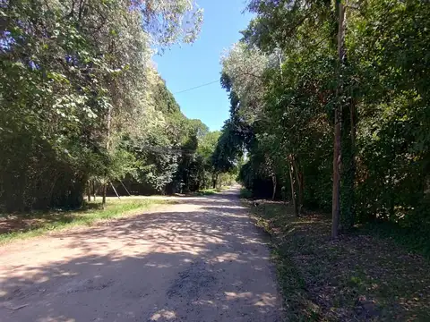 Terreno en Venta 31  mts Fondo