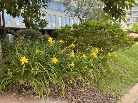 Casa en Venta en Nordelta, USD 315.000