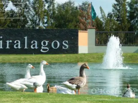 Terreno en Venta de 1333,0 m2