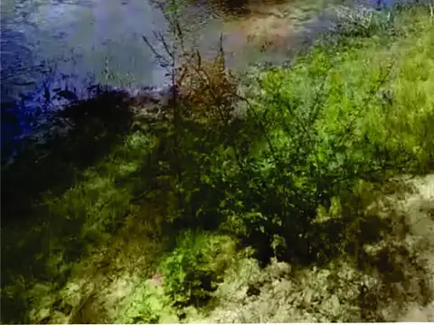 Terreno en Venta, FOT 5