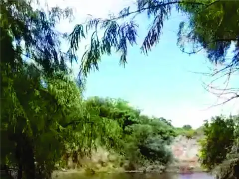 Terreno en Venta, FOS 5