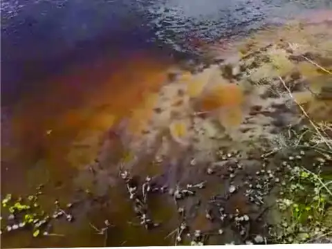 Terreno en Venta en Esquina, USD 50.000