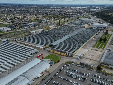 Alquiler - Depósito - 4000 m2 - Berazategui - CIR2