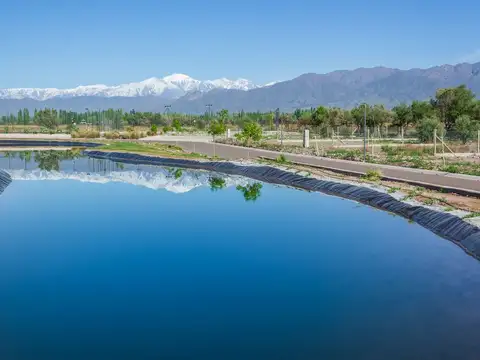 HERMOSO LOTE EN EL CORAZON DE VISTALBA