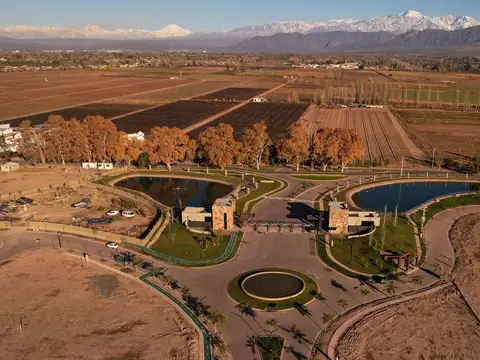 Terreno en Venta en Lujan De Cuyo, USD 90.000