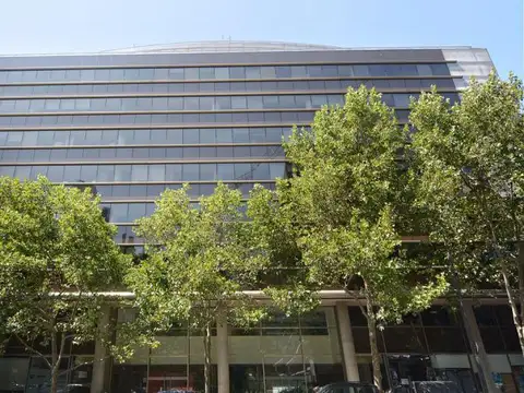 Encarnación Ezcurra al 300