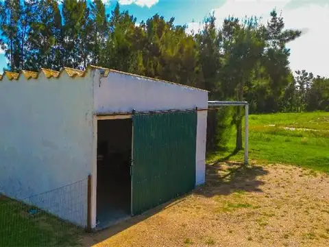 Campo en Venta Chacra