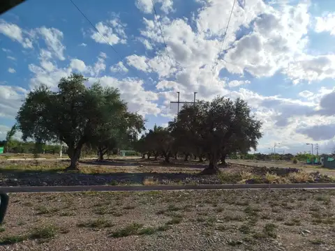 Terreno en Venta en Cruz De Piedra, USD 14.000