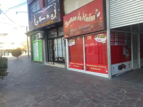 Local en Venta Via Púb.