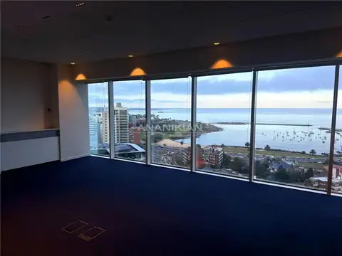 OFICINAS - PLANTA DIVIDIDA - POCITOS, MONTEVIDEO