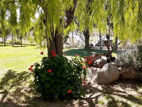 AVENIDA DE LA VIRGEN  MB C9 100