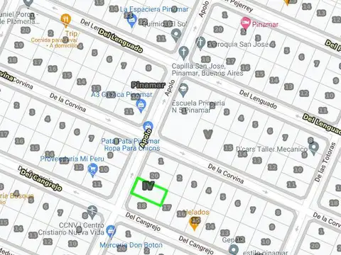 Apolo e/ Del Cangrejo y De La Corvina