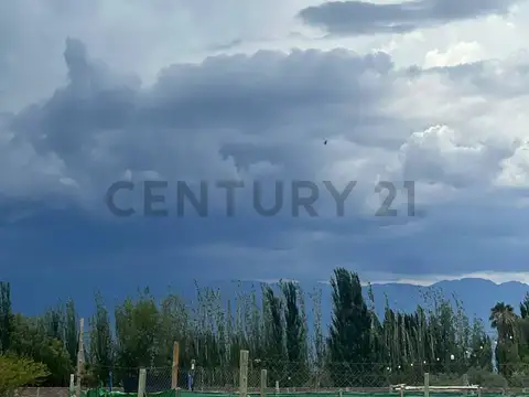 Terreno en venta Los Corralitos