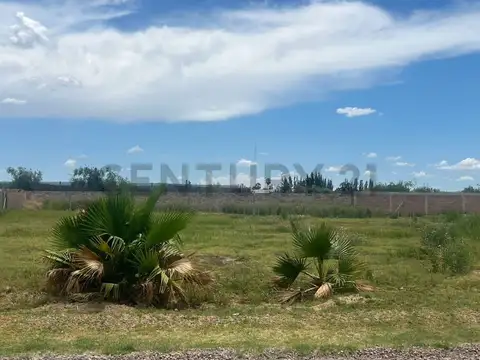 severo del castillo 3800, Piso 0