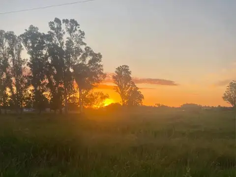 Terreno en Venta de 1400,0 m2