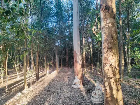 Campo en Venta en Villa Ruiz, San Andres De Giles