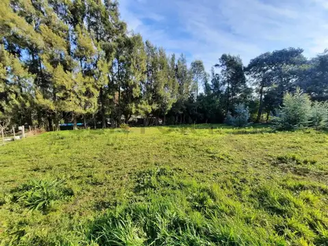 Terreno en Venta 43  mts Fondo