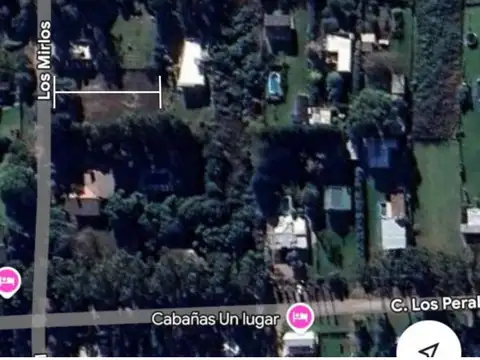 Los mirlos e/ Los mimbres y Los perales , Piso 0